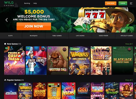 De Hoogste Bonus bij Online Casino’s 